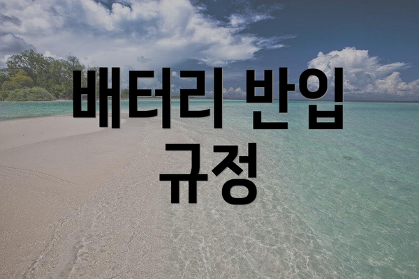 배터리 반입 규정