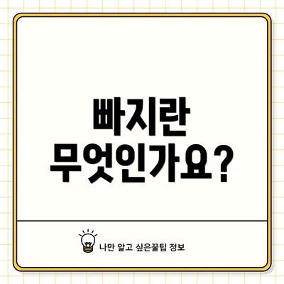 빠지란 무엇인가요?