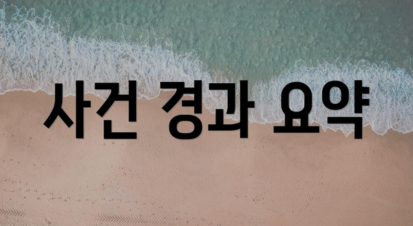 사건 경과 요약