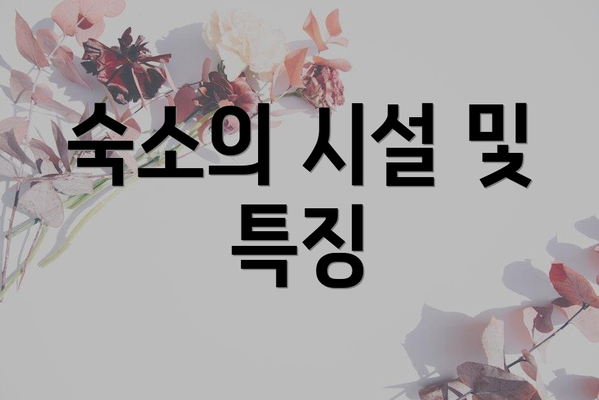 숙소의 시설 및 특징