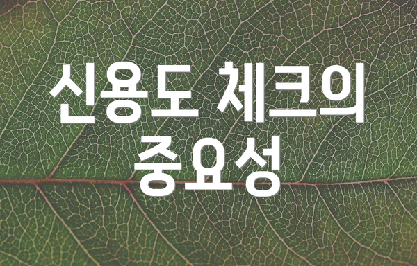 신용도 체크의 중요성