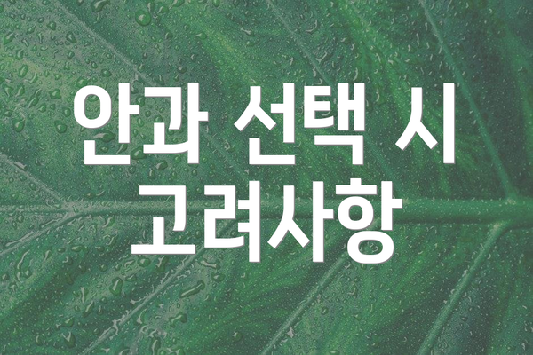 안과 선택 시 고려사항