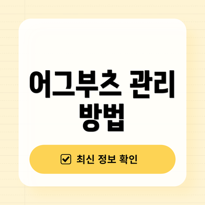 어그부츠 관리 방법