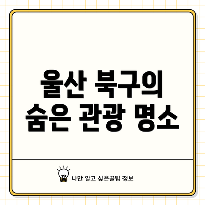 울산 북구의 숨은 관광 명소