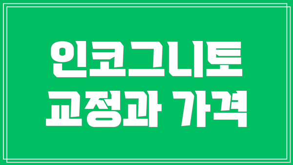 인코그니토 교정과 가격