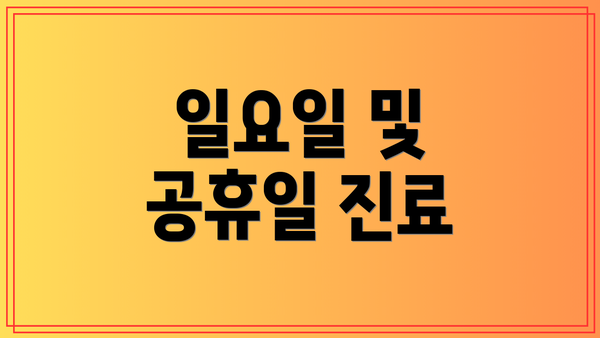 일요일 및 공휴일 진료
