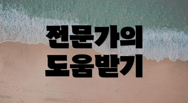 전문가의 도움받기