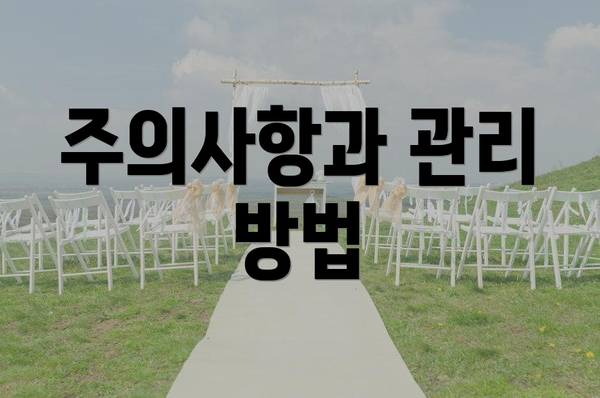 주의사항과 관리 방법