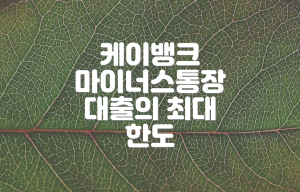 케이뱅크 마이너스통장 대출의 최대 한도