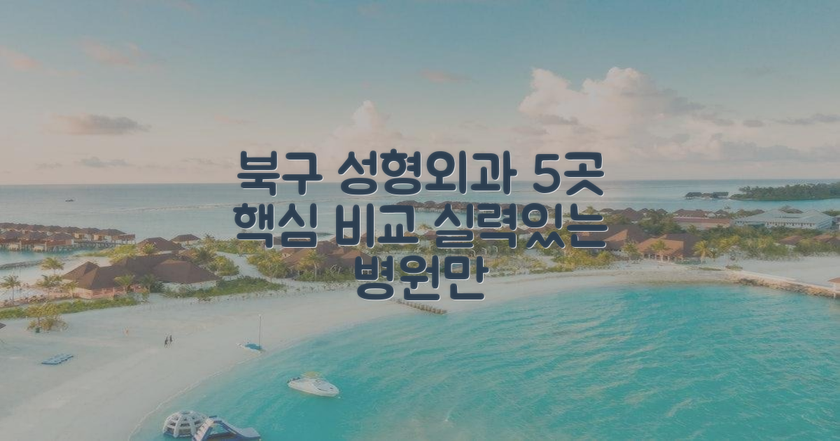 북구 성형외과 5곳 핵심 비교
