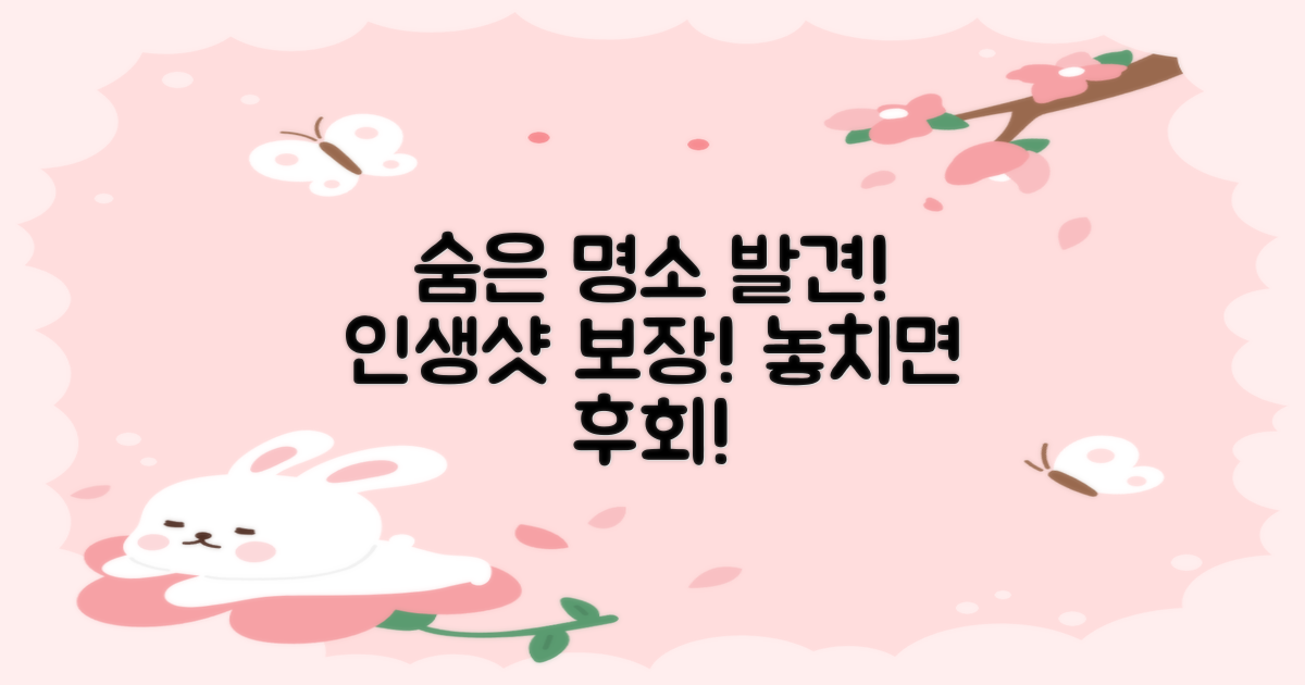 유명한 곳, 잘 보는 곳은 어디일까?