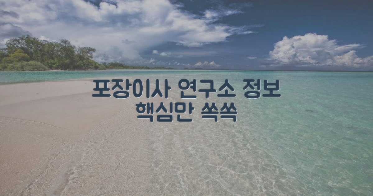 포장이사 연구소 정보