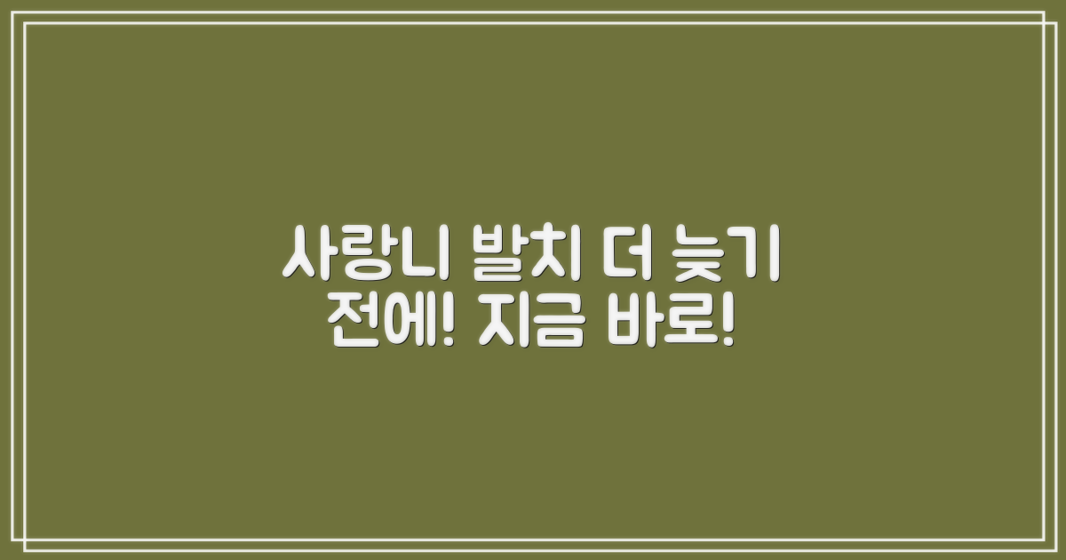 사랑니 발치, 더 늦기 전에!