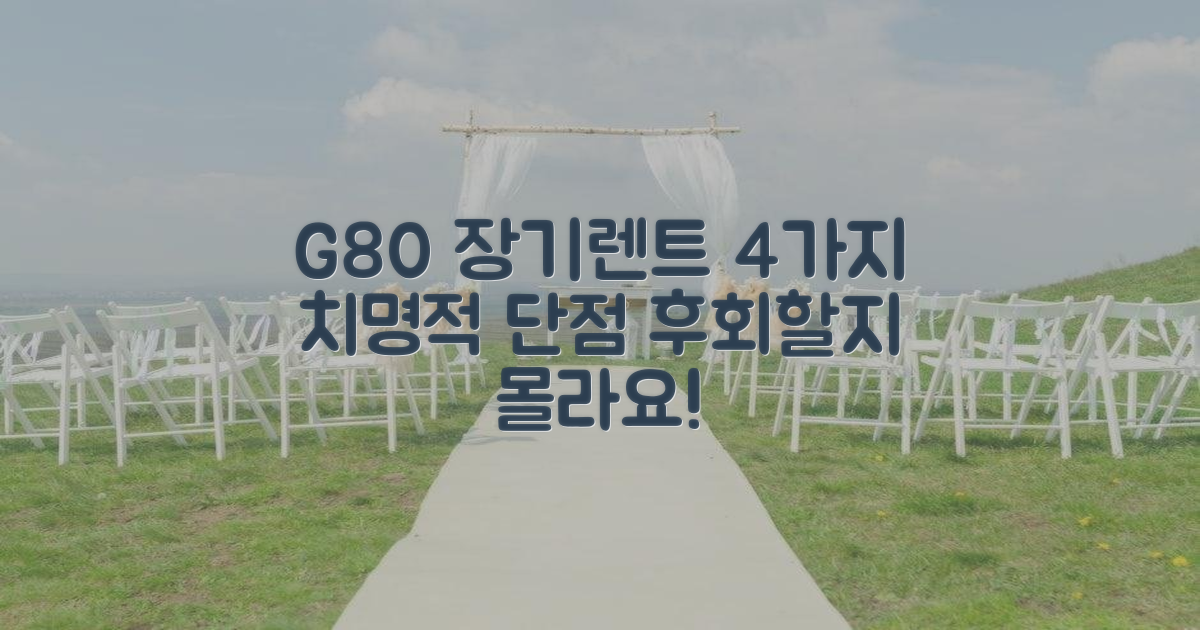 4가지 G80 장기렌트 단점