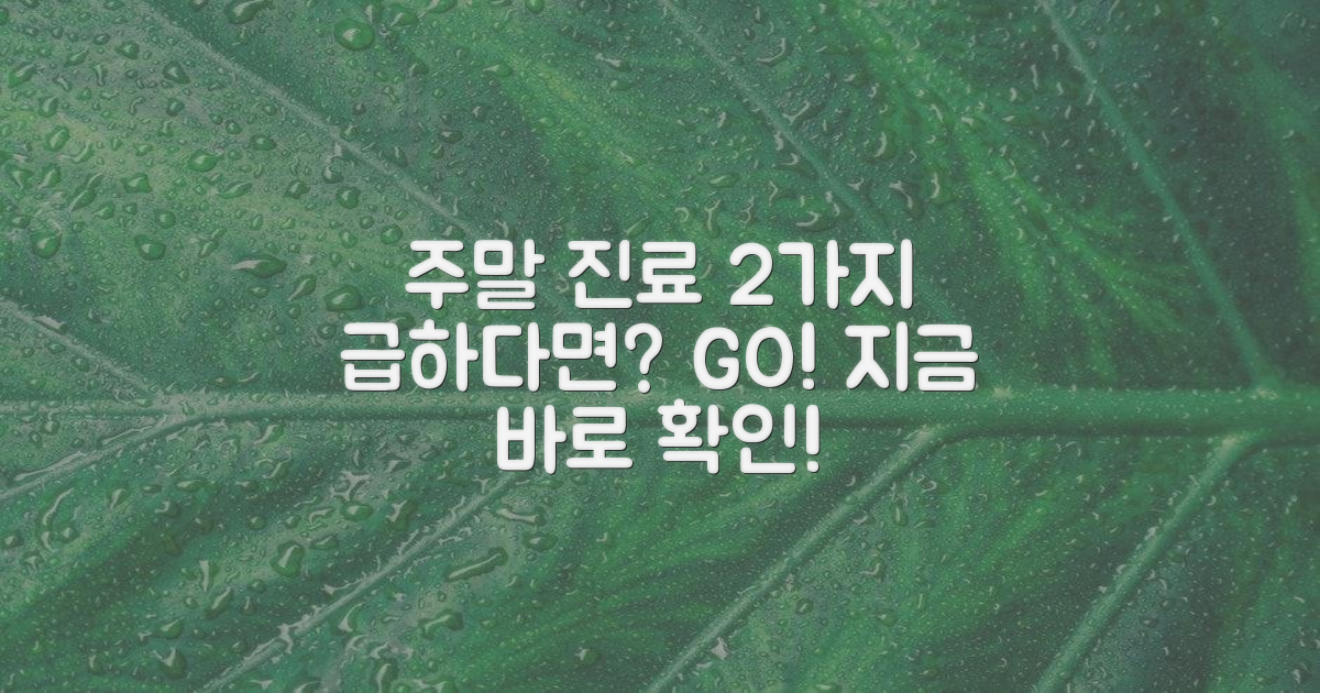 2가지 주말 진료