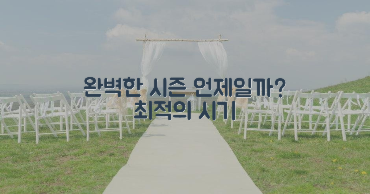 완벽한 시즌은 언제인가?