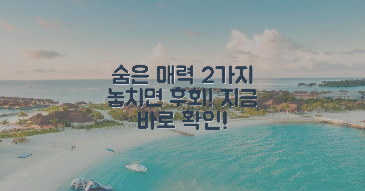 2가지 숨은 매력 탐구