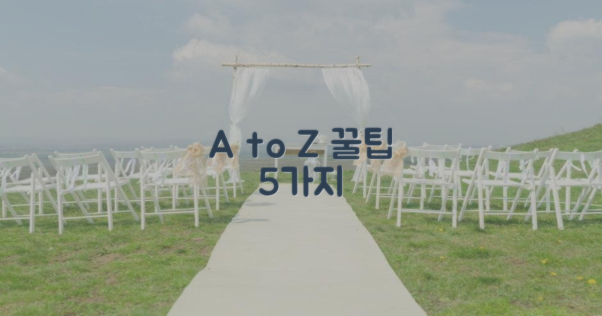 A to Z 정보 5가지