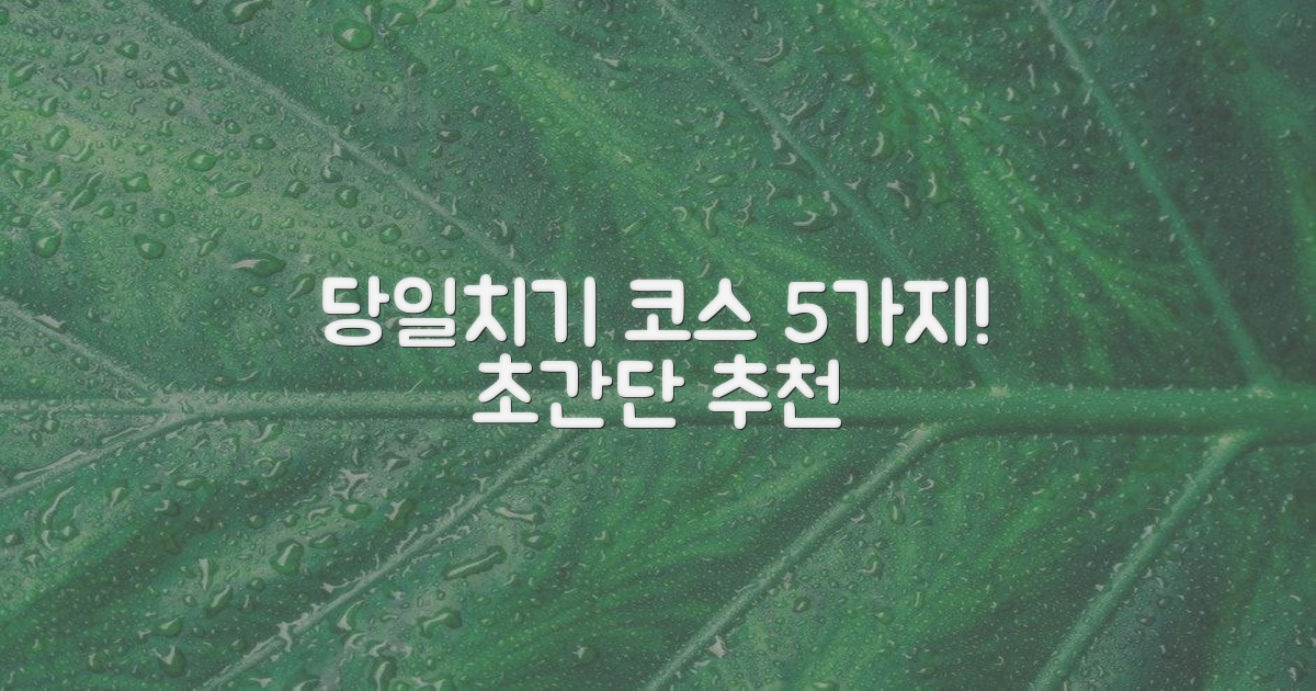 5가지 당일치기 코스 추천