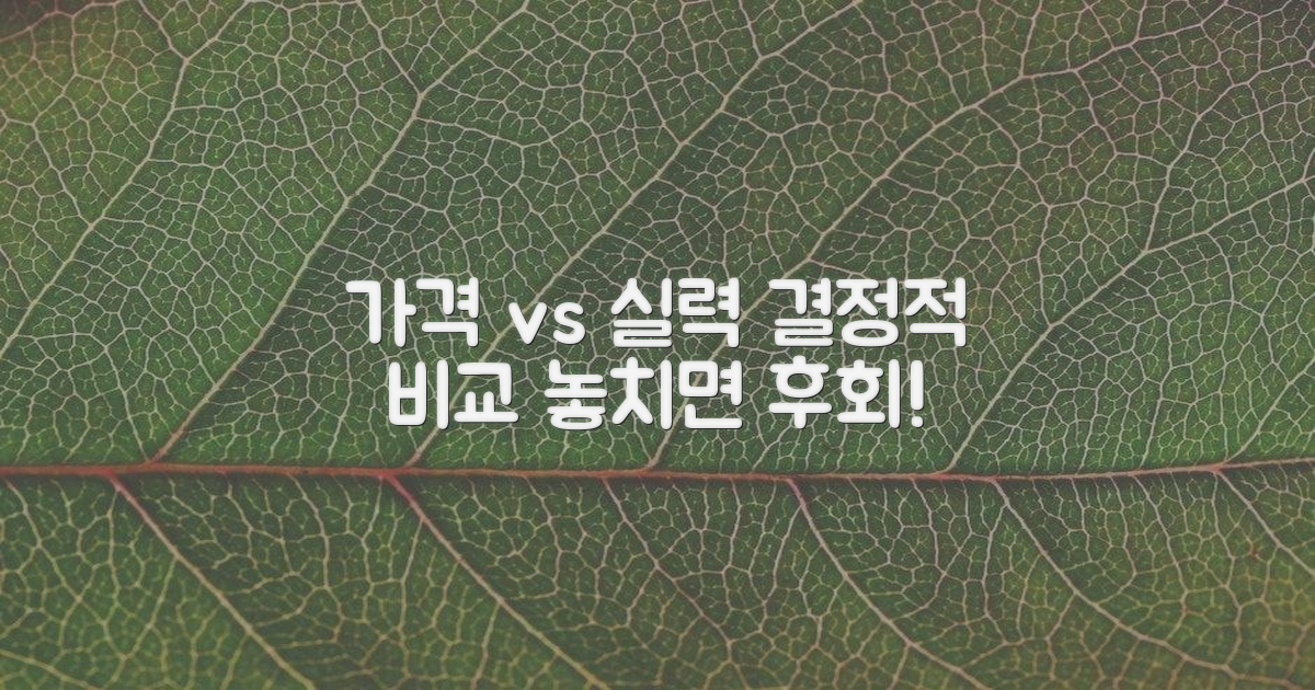 가격 vs 실력 비교