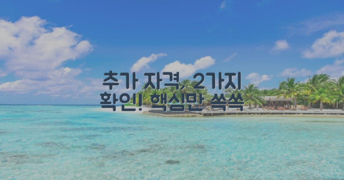 2가지 추가 자격 확인