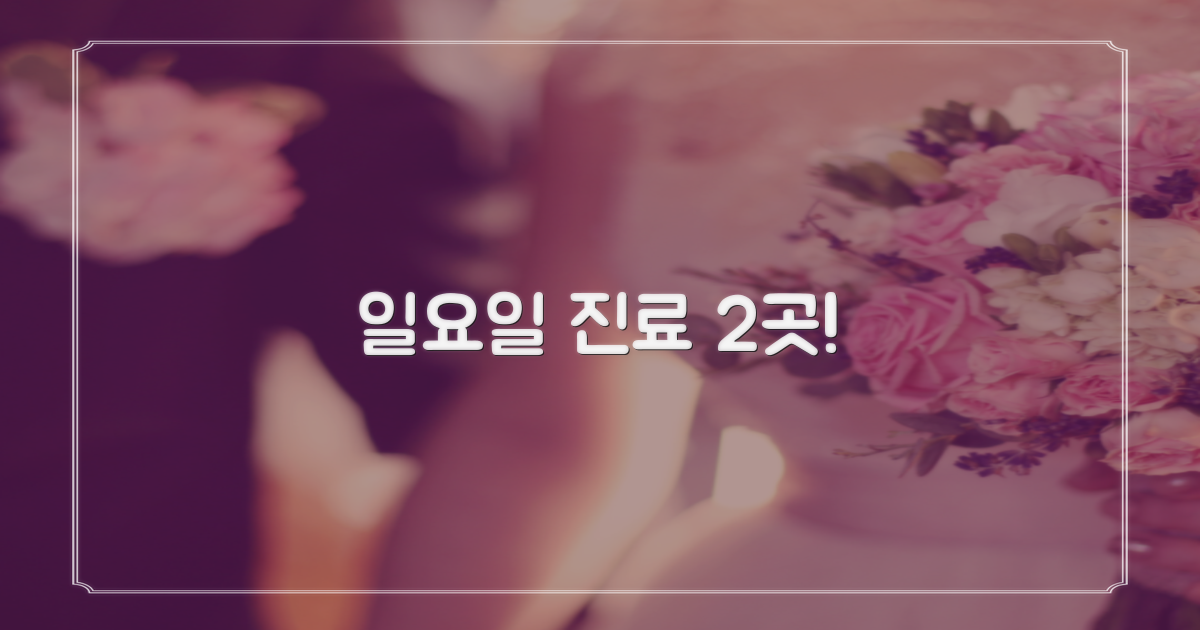 2곳 일요일 진료