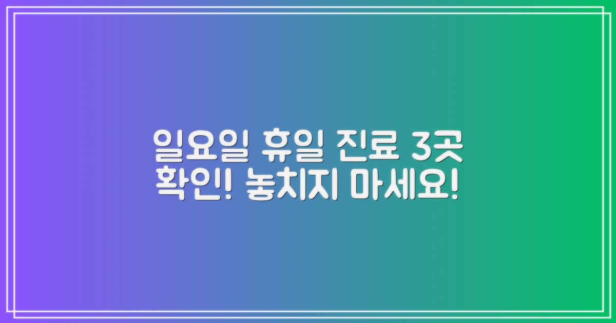 3가지 일요일 공휴일 진료