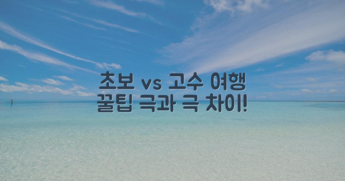 처음 vs 익숙한 여행자의 팁