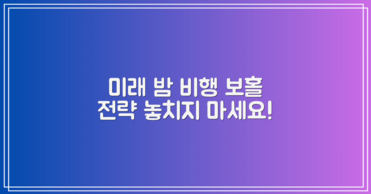 미래 밤 비행 보홀 전략