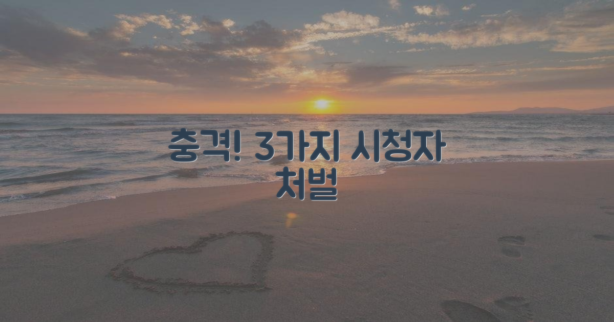 3가지 시청자 처벌 위험