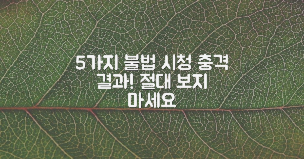 5가지 불법 시청 결과