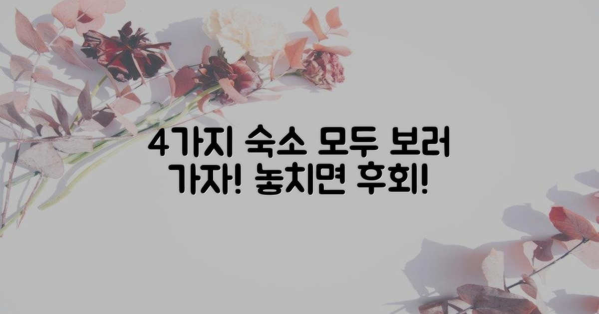 4가지 숙박 옵션