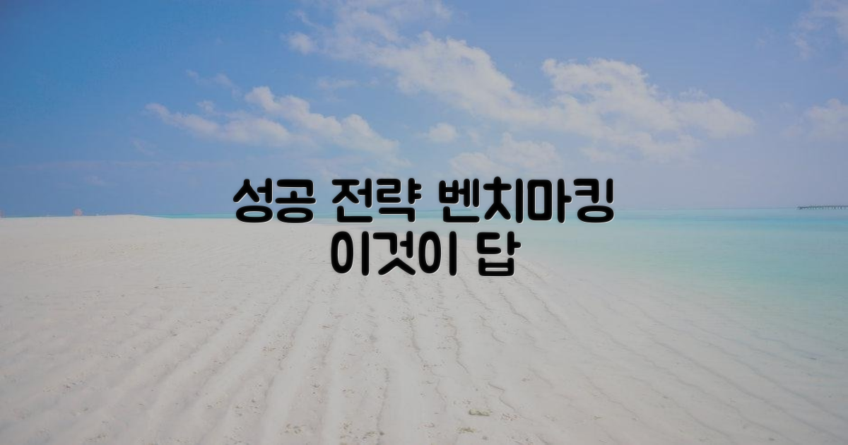 성공 사례, 벤치마킹 전략