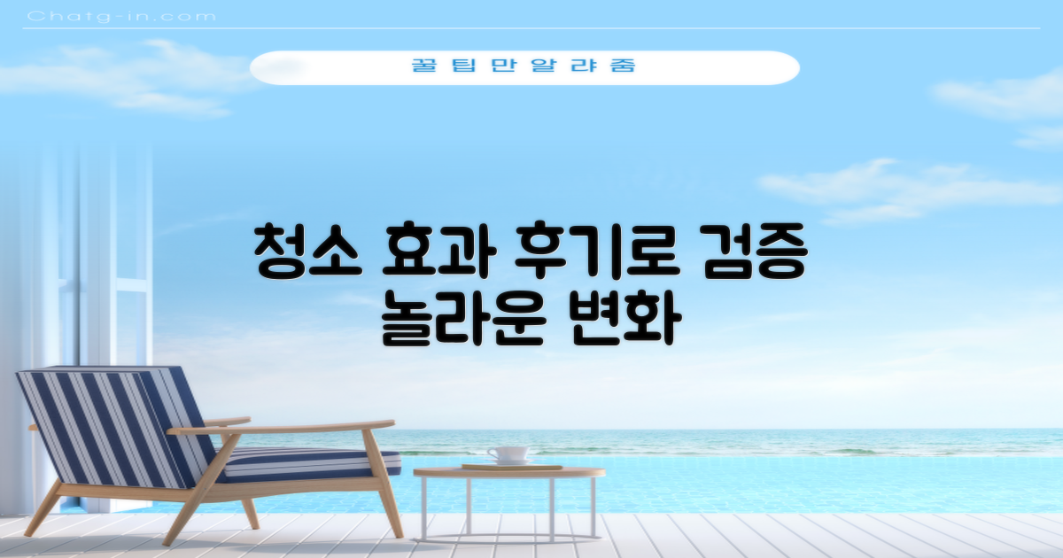 후기로 본 청소 효과
