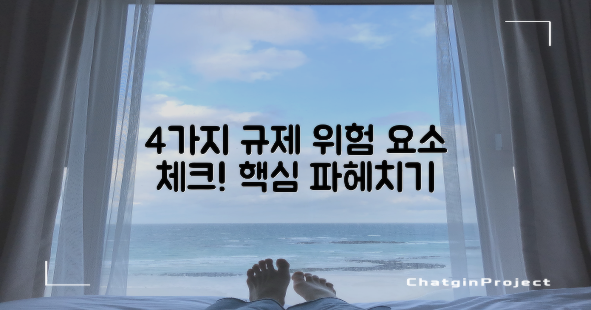 4가지 규제적 문제
