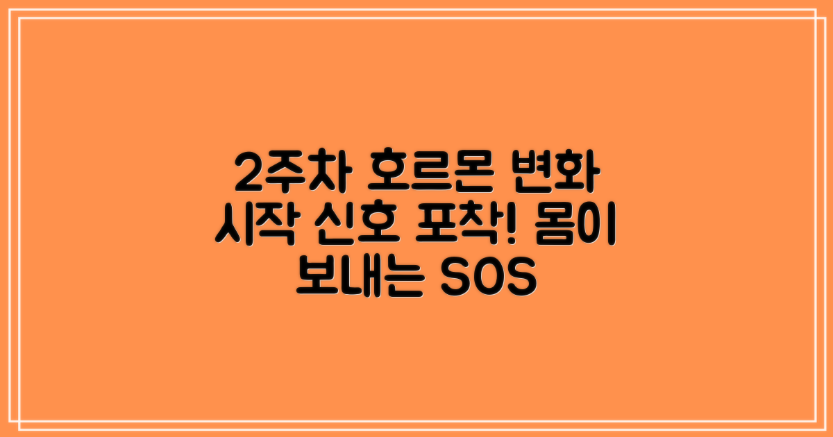 2주차: 호르몬 변화 시작 신호