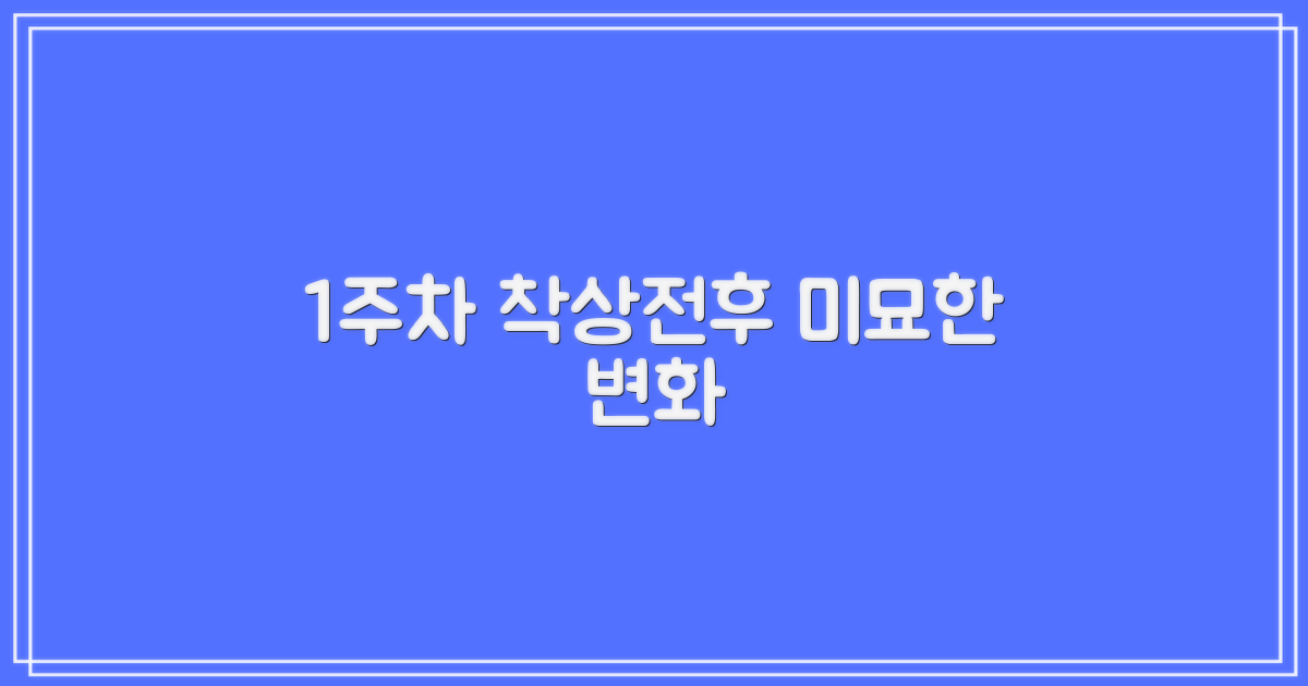 1주차: 착상 전후 미묘한 변화