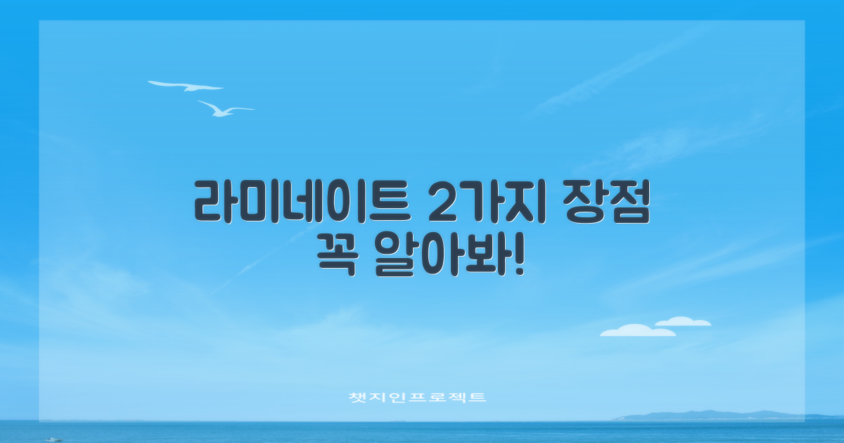 2가지 라미네이트 장점