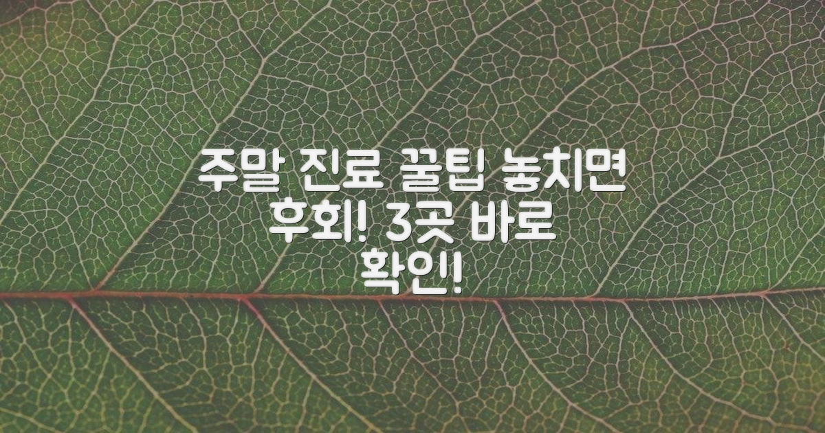 3가지 주말 진료 안내