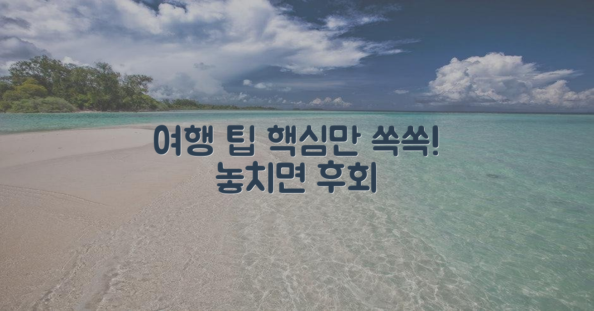 여행 팁 꼼꼼히 챙기세요!