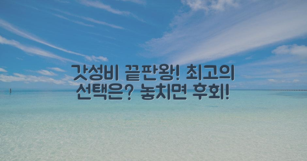 합리적인 가격, 최고의 선택은?