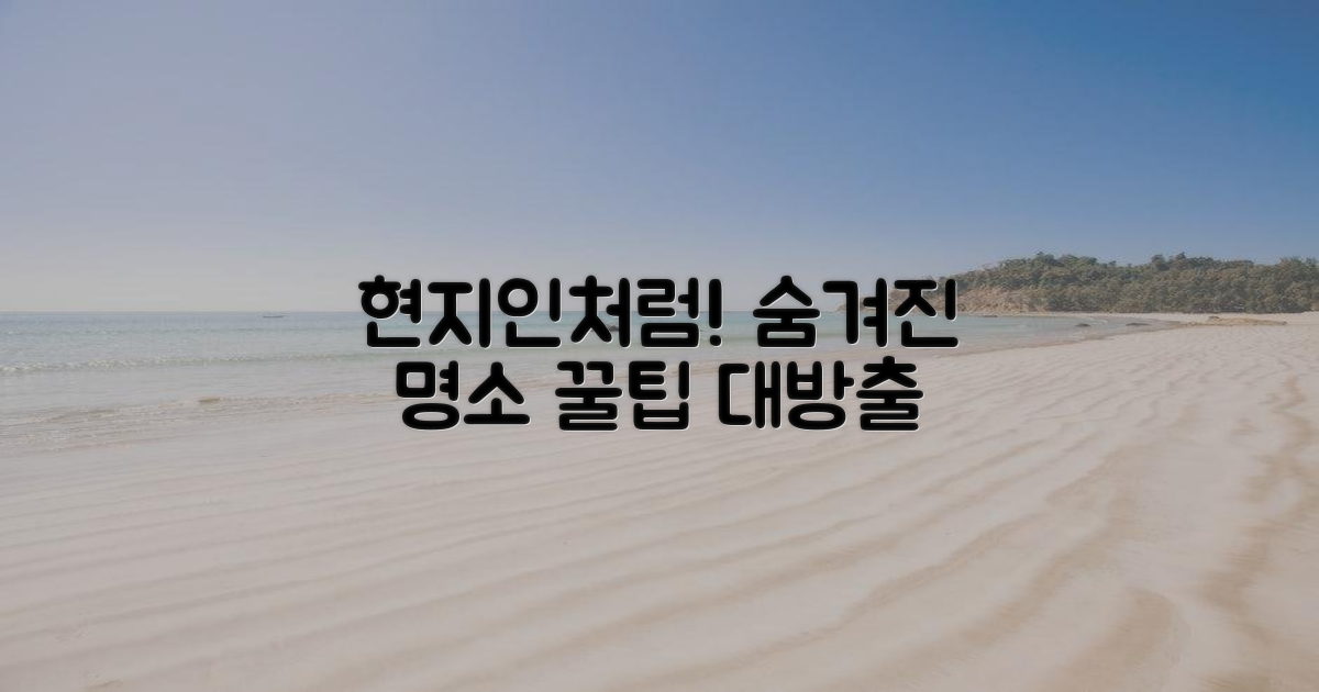 현지인처럼 즐기기 팁