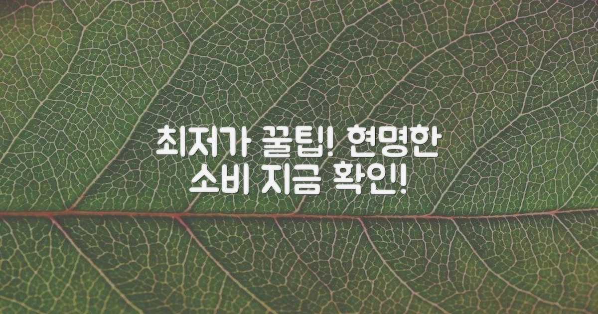 현명한 구매처를 알아보세요