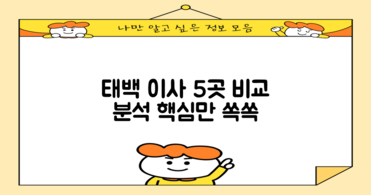 태백 포장이사 5곳 비교