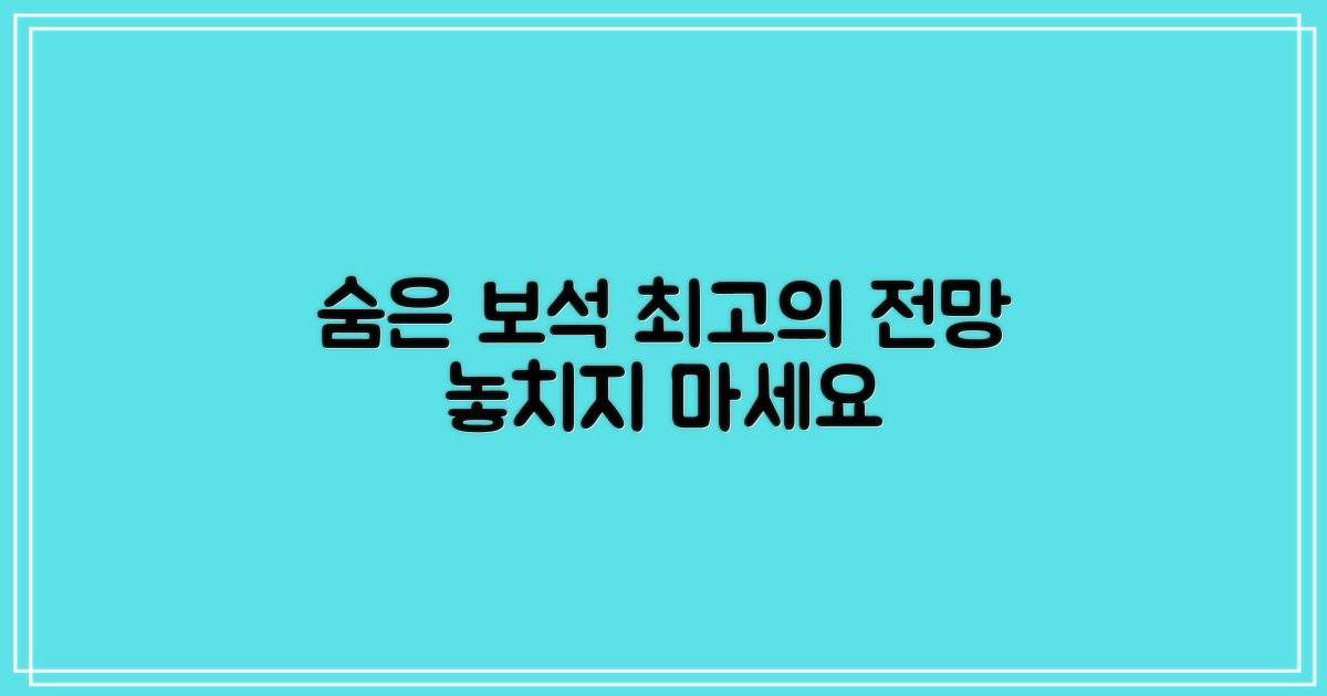 최고의 전망, 숨은 보석 찾기