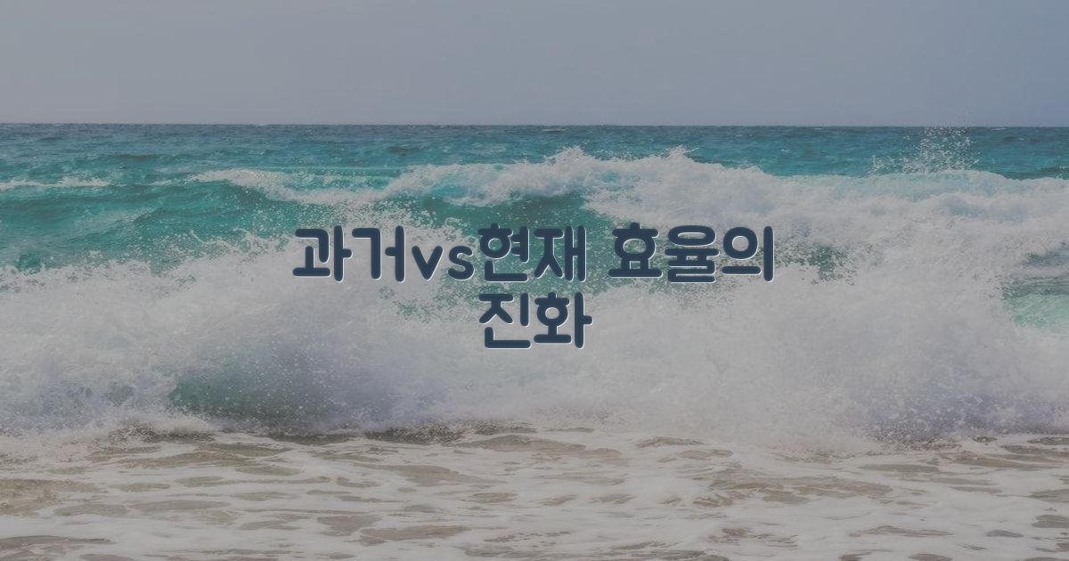 효율성 극대화: 과거와 현재