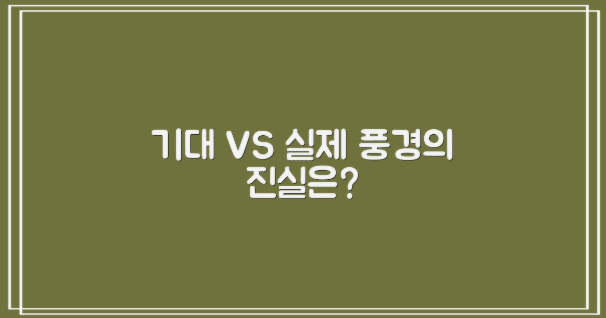 기대 풍경 vs. 실제 전망
