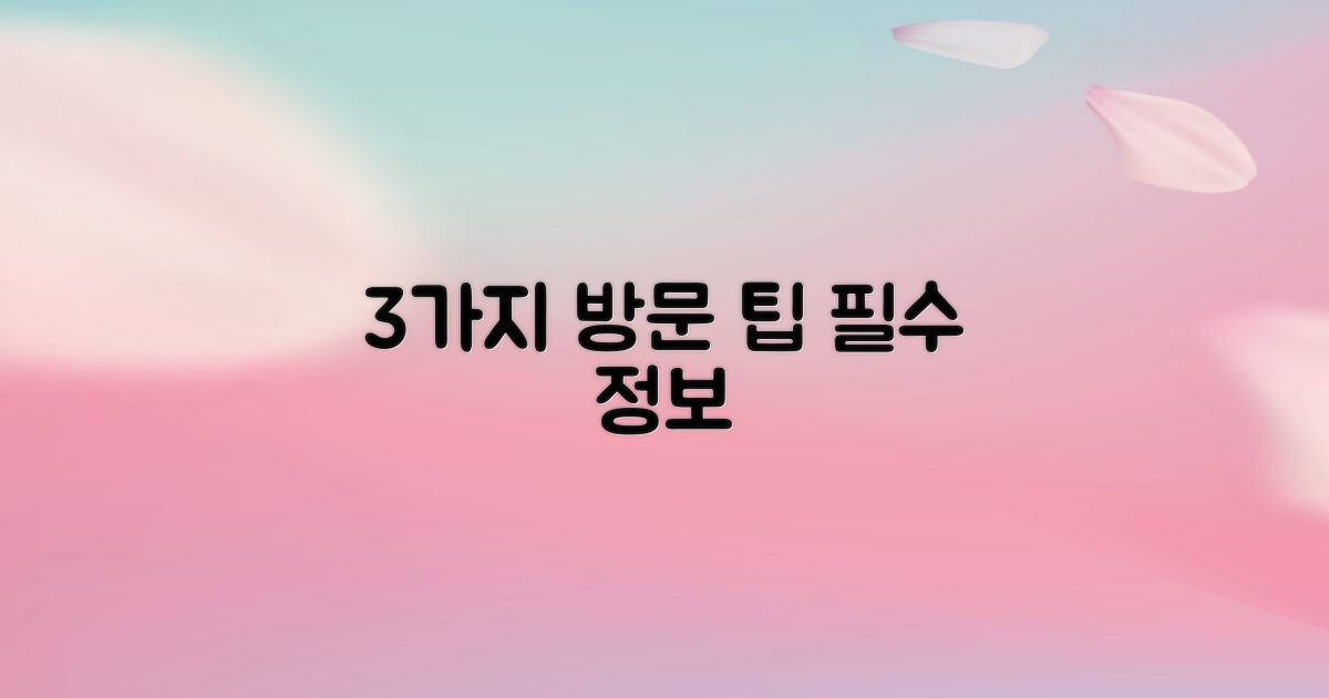 3가지 방문 팁 & 정보