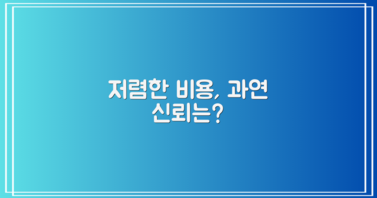 저렴한 비용, 과연 믿을 수 있을까?